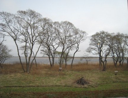 e0015964_22265176.jpg