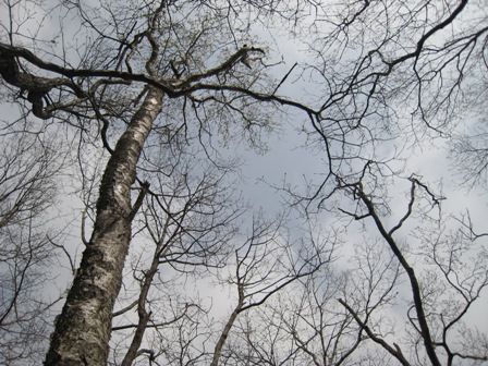 e0015964_22351532.jpg