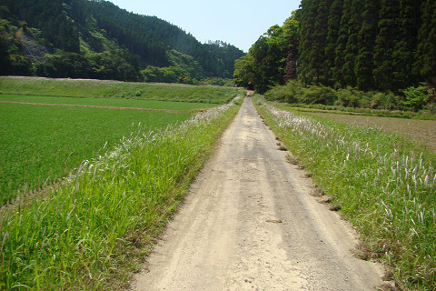 b0135573_18145994.jpg