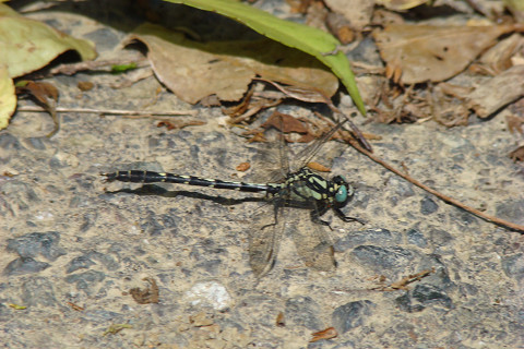 b0135573_18153758.jpg