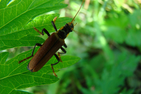 b0135573_18155357.jpg