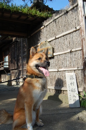 5月7日(水)　　藤村_c0133274_2102344.jpg