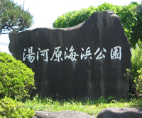 f0026475_23382410.jpg