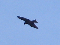 f0026475_2338580.jpg