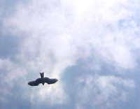 f0026475_23452023.jpg