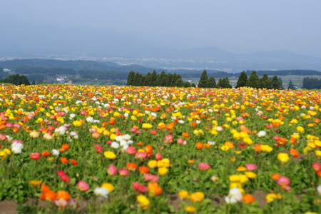 d0141376_0112348.jpg