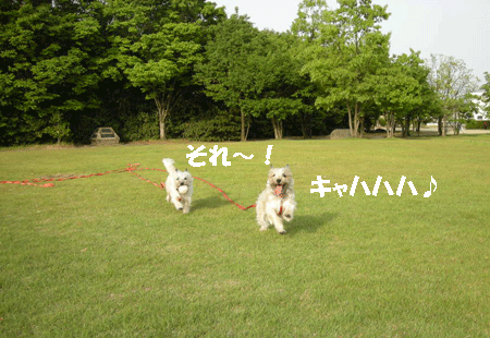 e0066883_19202790.gif