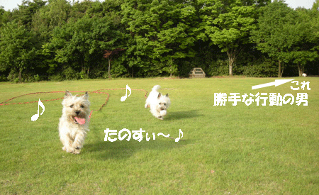 e0066883_19204388.gif