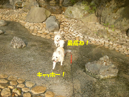 e0066883_19221454.gif