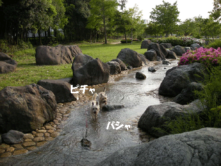 e0066883_19224651.gif