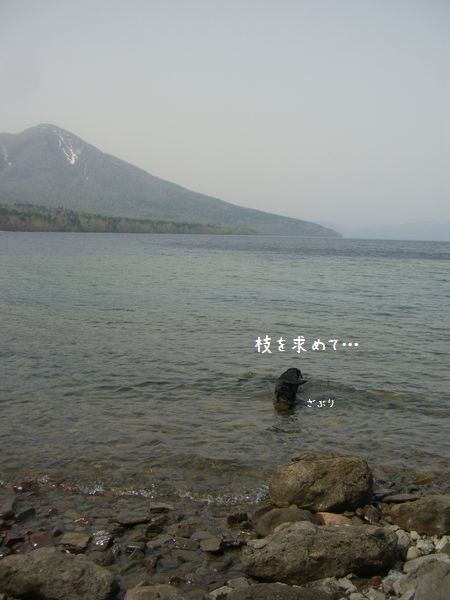 支笏湖～洞爺湖キャンプなのだ!(4)_b0000885_1119769.jpg