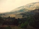 b0127294_150826.jpg