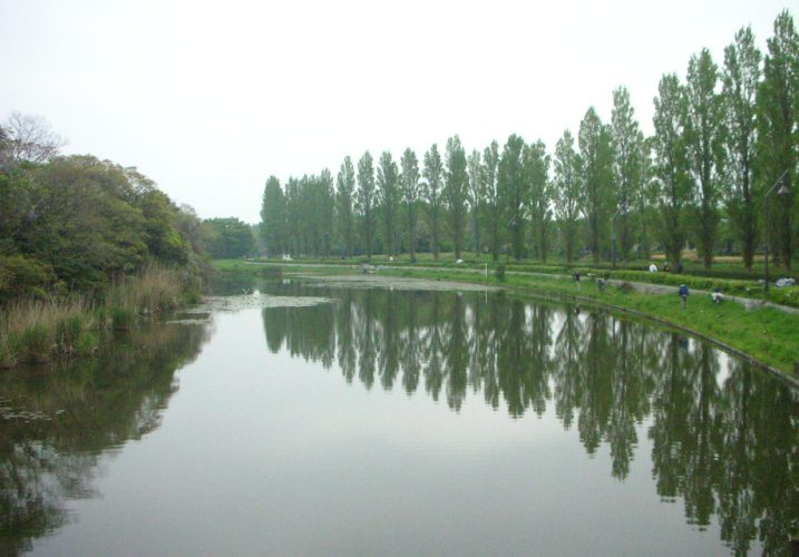 d0153294_22215150.jpg