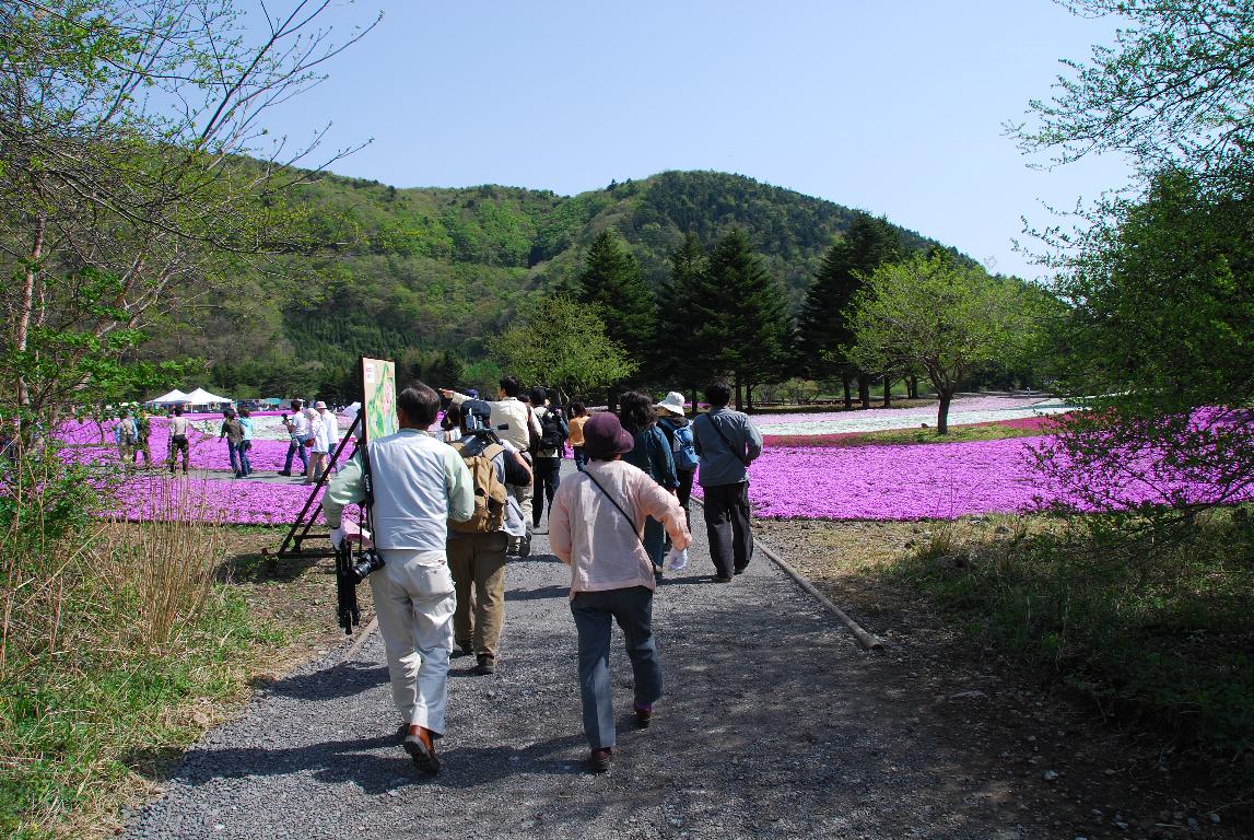 富士芝桜まつり_e0124594_1963296.jpg