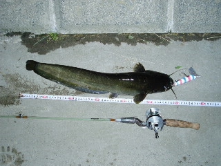 c0023804_11134620.jpg
