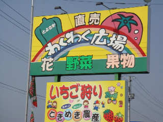 f0138304_9233424.jpg