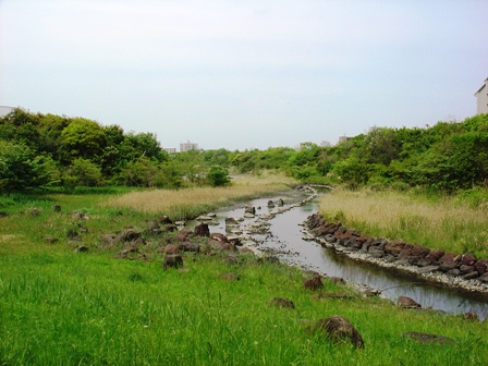 e0138005_335334.jpg
