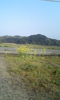 ご無沙汰です。_d0005807_7322364.jpg
