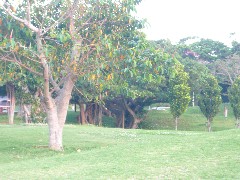 c0002614_19101017.jpg