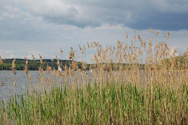 Wannsee_d0116222_6133471.jpg