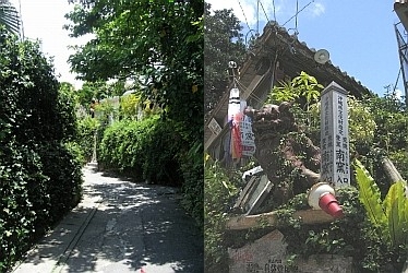 f0039933_2311919.jpg