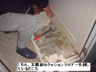 f0031037_17332647.jpg