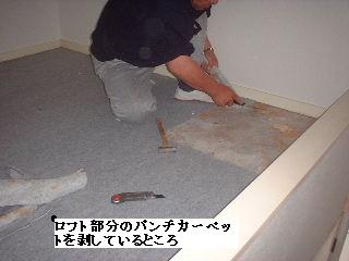 f0031037_1735514.jpg