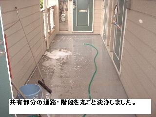 f0031037_1746265.jpg
