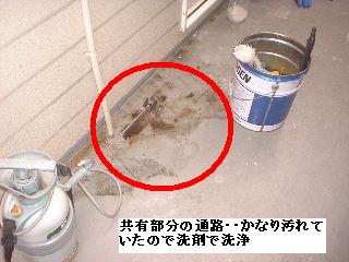 f0031037_1746449.jpg
