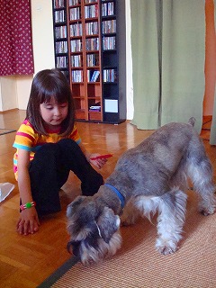 c0153740_3523399.jpg