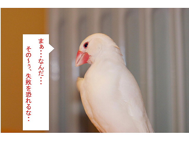 平社員 甘えびラーメンを企画するの巻 スープ編 その2 ぶんちょうナイン エキサイト本社