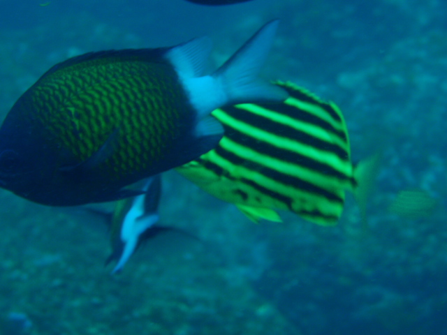 c0142045_1015372.jpg