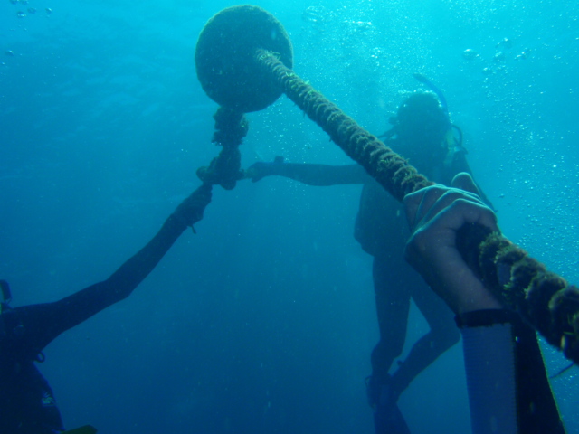 c0142045_10222648.jpg