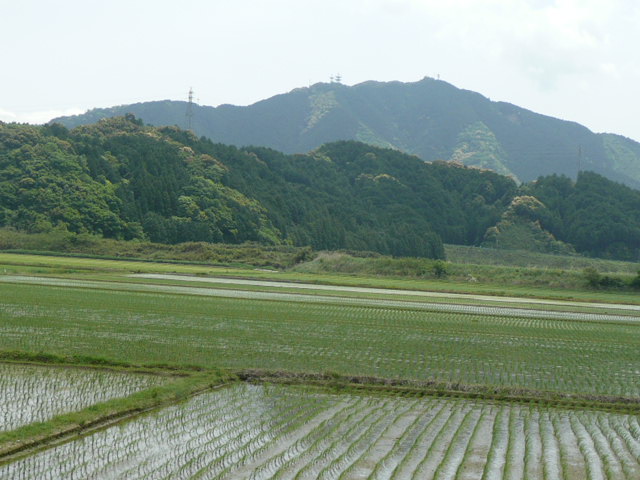 のどかな風景♪_f0099147_22123180.jpg