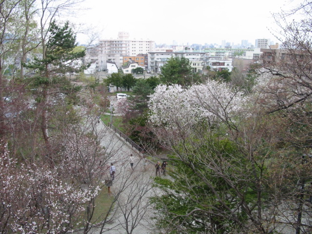 f0122259_2247658.jpg