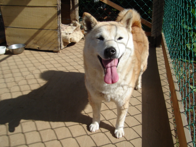 久々の動物シリーズ_e0003660_23332227.jpg