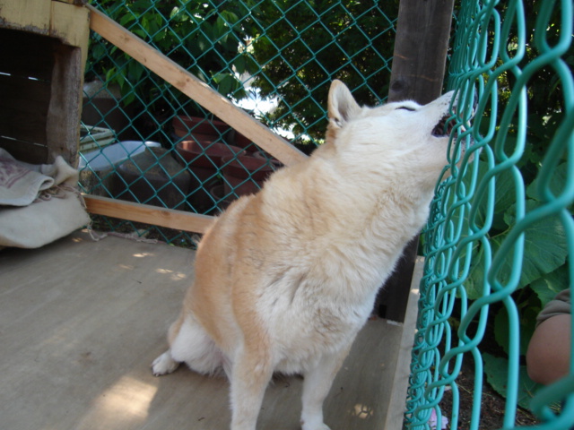 久々の動物シリーズ_e0003660_23355070.jpg