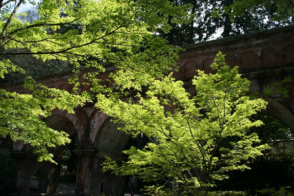 d0030373_2101144.jpg