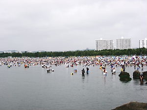 d0121374_23978.jpg