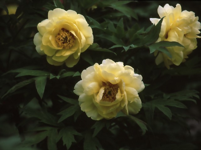 b0074377_22493319.jpg