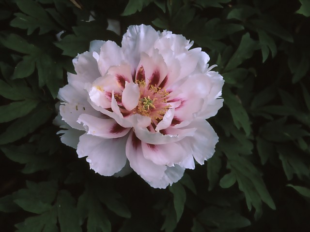 b0074377_22495667.jpg