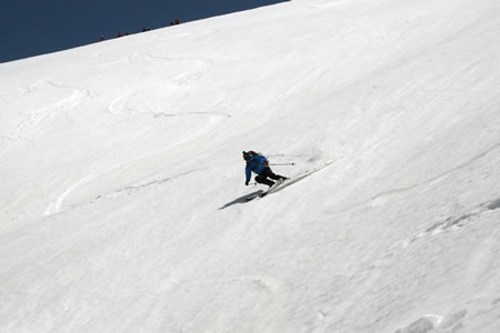 d0079579_15423177.jpg