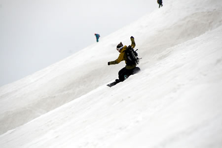 d0079579_15822.jpg