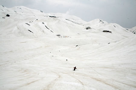 d0079579_158565.jpg