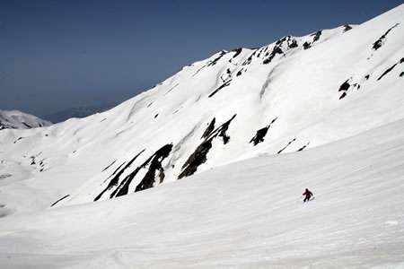 d0079579_1631413.jpg