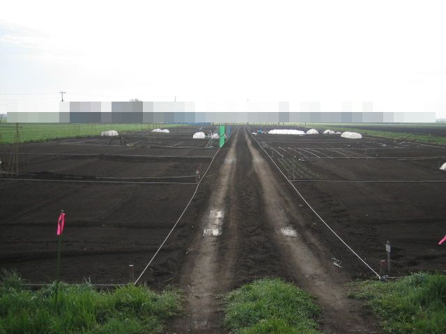 a0008185_8445259.jpg
