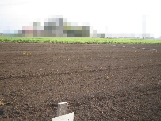 a0008185_8451192.jpg