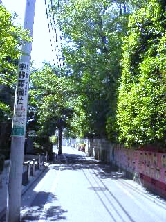 f0091785_21231574.jpg