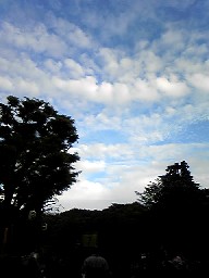 d0090800_210363.jpg