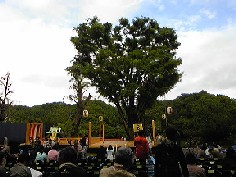d0090800_272657.jpg